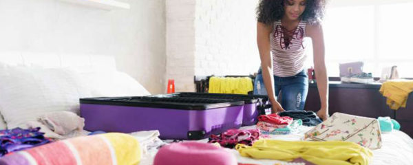 valise
